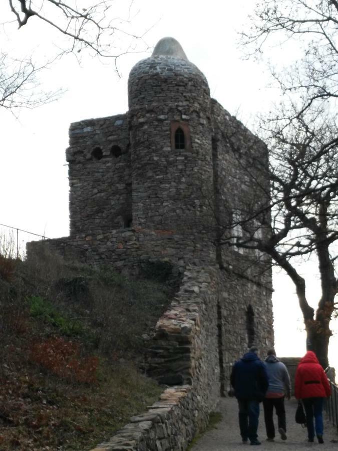 Ferienwohnung David Lorch am Rhein Bagian luar foto
